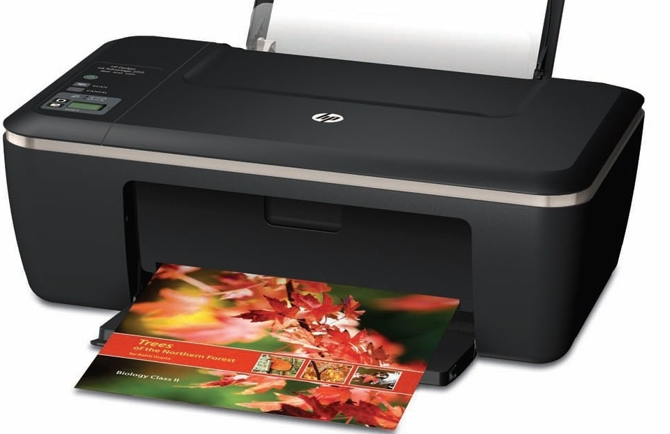 Hp Deskjet 1000 Printer Driver For Xp Free Download